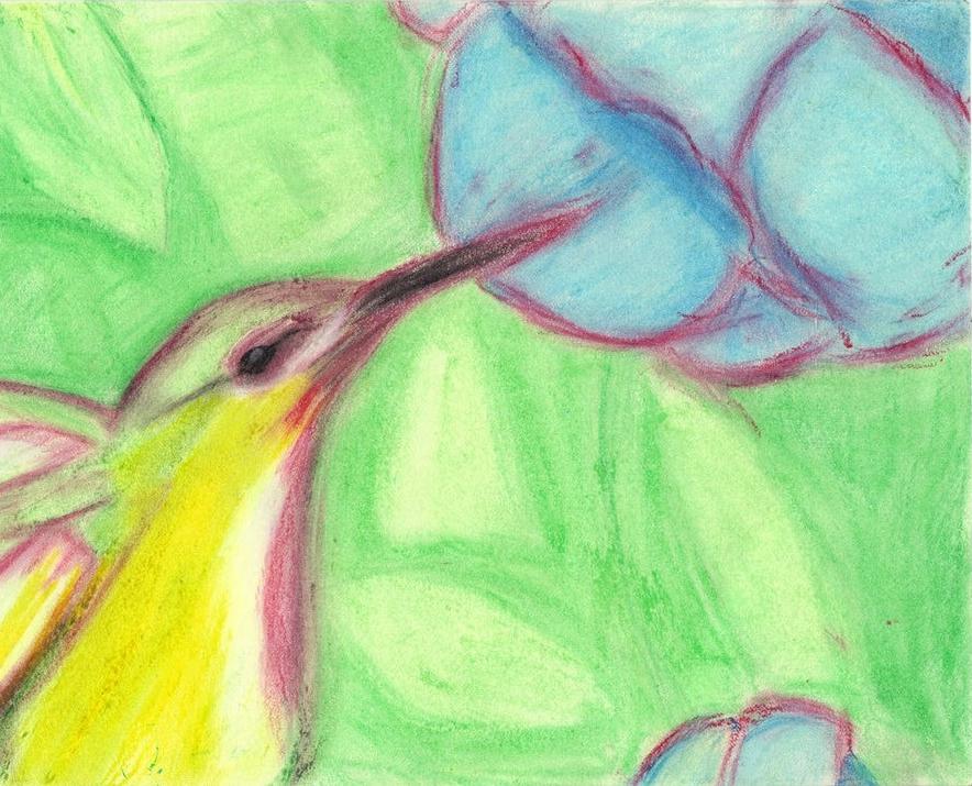 Little Hummingbird