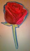 Painted rose