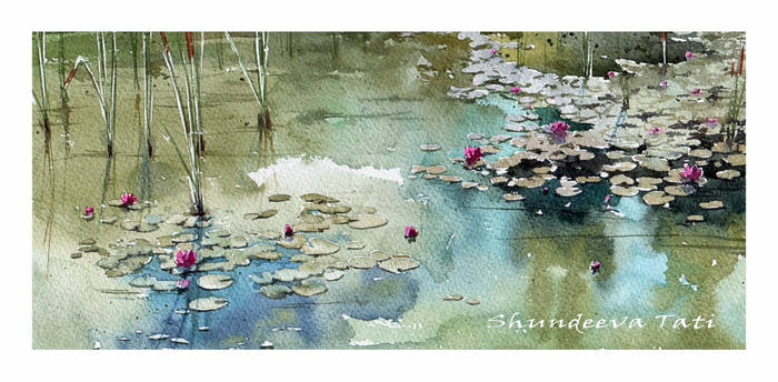 Water lilies