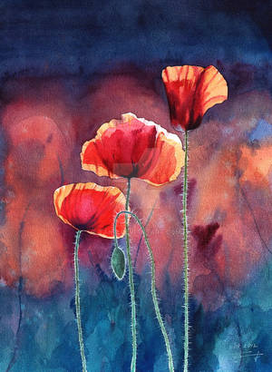 Poppy... by Takir Poppy... by Takir