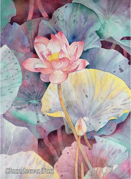 Lotus