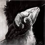 Marked For Death - alternative