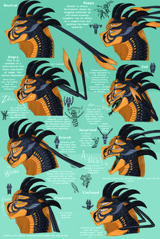 Woke up in a cold sweat:Sundyne Expressions2!