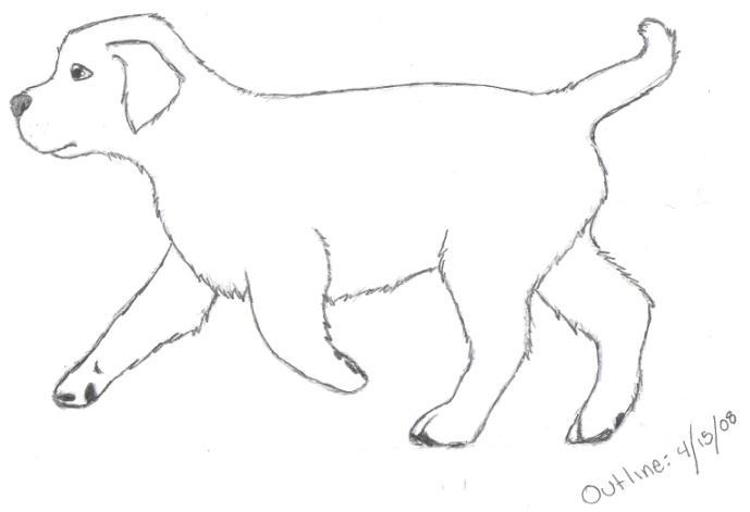 23+ Golden Retriever Outline Drawing