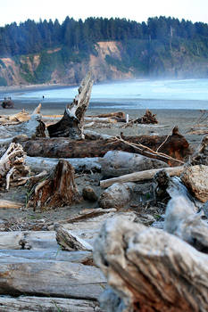 Its La Push.