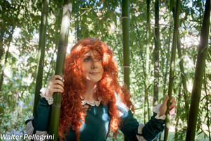 Merida