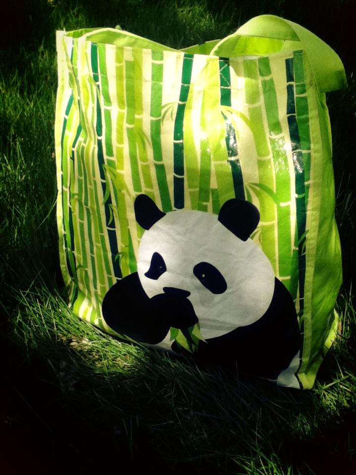 Panda Bag