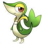 Snivy