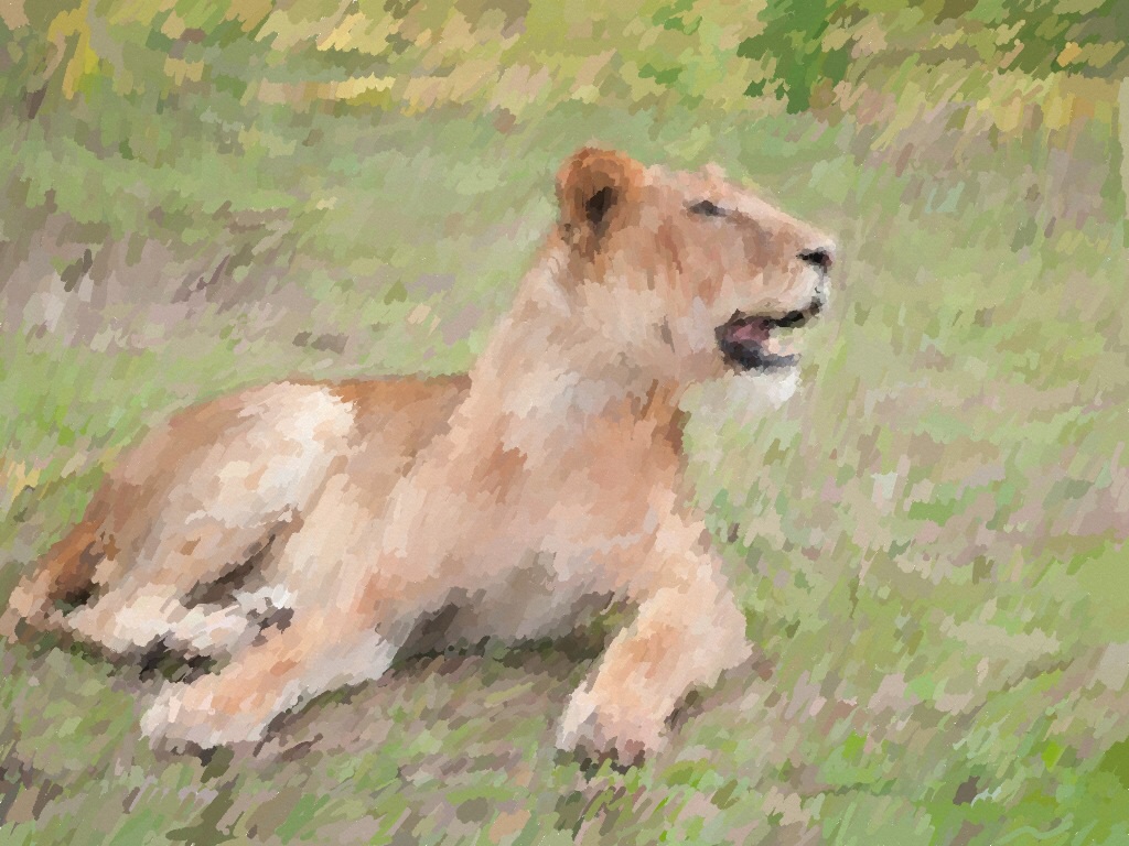 Lioness in Grass