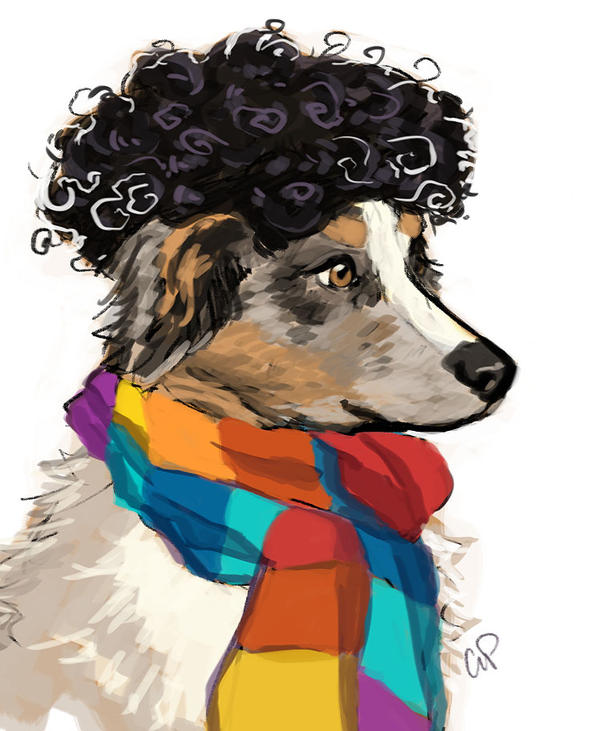 Dogs in Wigs - Vinicius