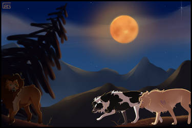 Tokota Of The Month By Tokotime On Deviantart Design Central Tokotas November 2022