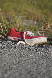 Shoes Along The Highway - Children's Shoe 1