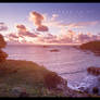 Lizard Point