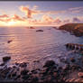 Lizard Point II