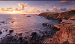 Lizard Point II by geckokid