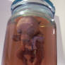 Werewolf Fetus In A Jar5