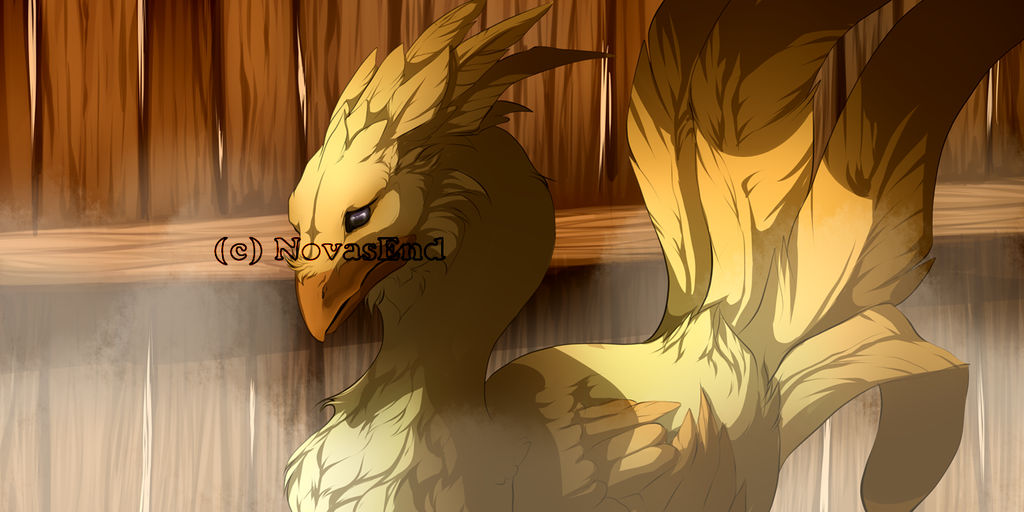 Chocobo by NovasEnd