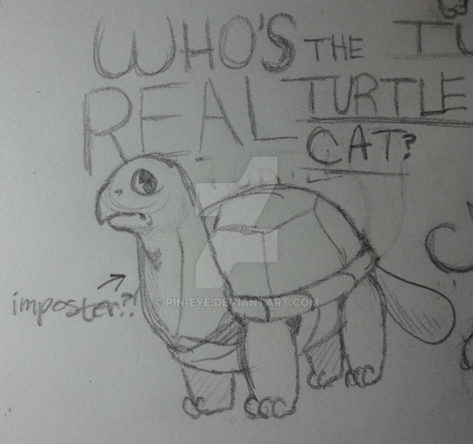 Imposter Turtle Imposter Turtlecat??!! by Pin-eye on DeviantArt
