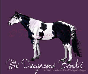 Ms Dangerous Bandit