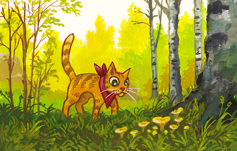 Chanterelle Cat