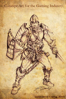 nordic warrior