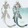 Mermaid Anatomy