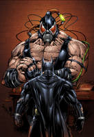 Batman vs Bane Colors _02