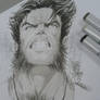 Wolverine copics