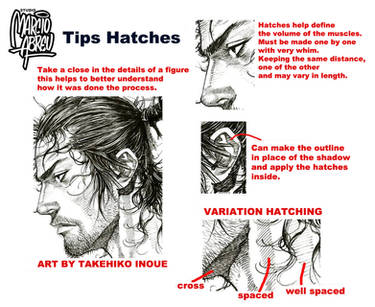 TIPS HATCHES