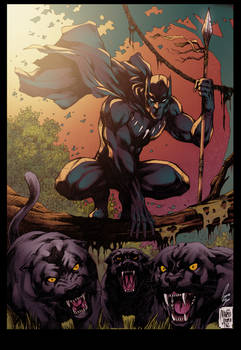 Black Panther  Colors