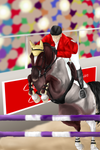The Final Jump by EmperialStables