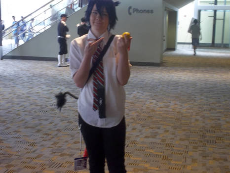 Otakon 2012