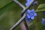 Chain link flower by artjte