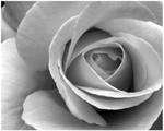 Black and White by Nay9