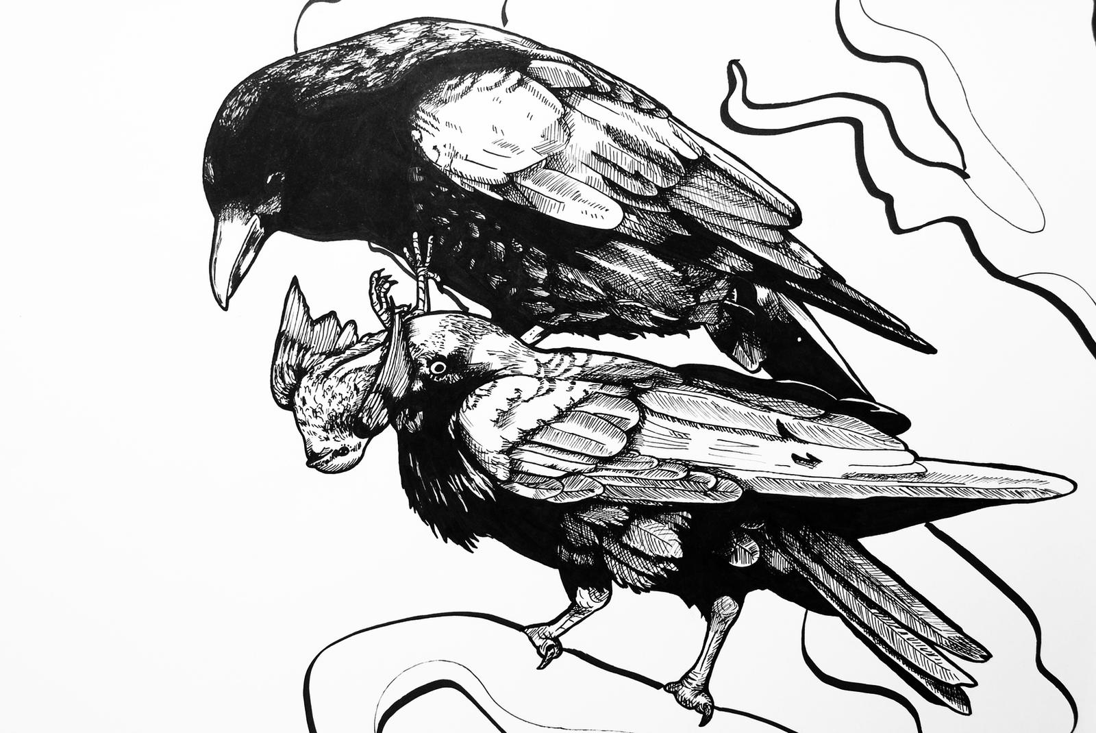 crows detail 1