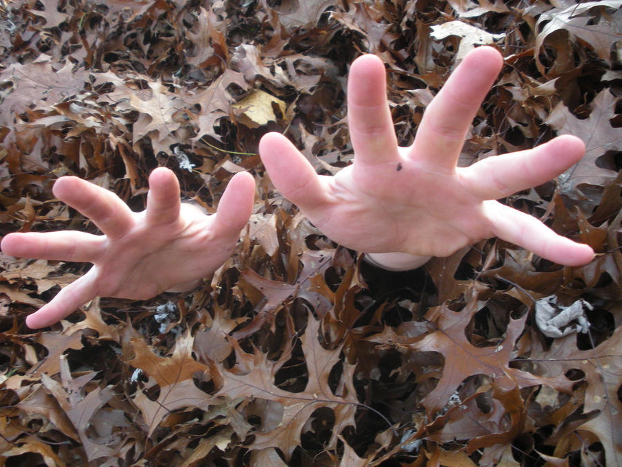 Come Play In The Leaves