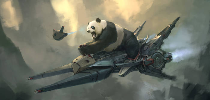 Panda Rider