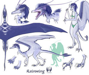 Rainwing Reference Sheet