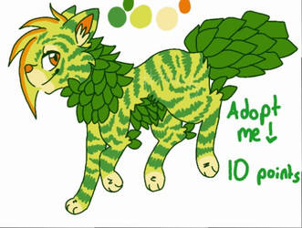 Leafy Dog Point Adoptable