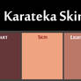 Karateka Skin Palette