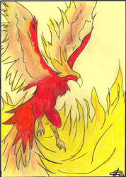 I'm a phoenix ! :D