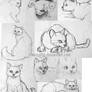 Sketches 02 - cats