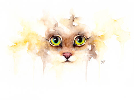 watercolor cat