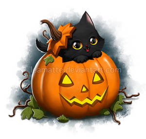 Halloween cat