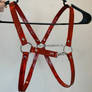 Red Chest Harness [$60]