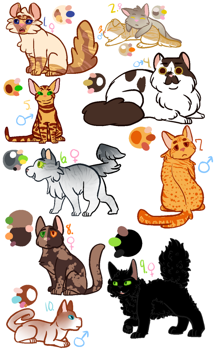Cat Color Custom How To Customize Cats? – 15 DIY Cat Clothes – HKFTD