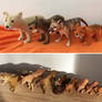 Thylacine collection update