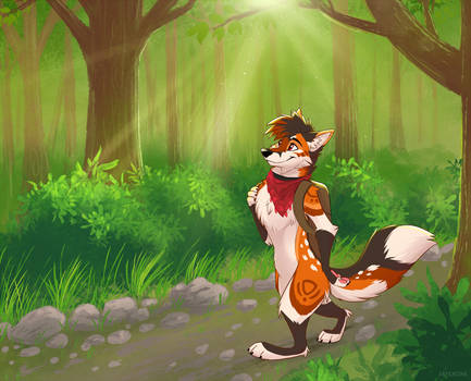 Summer forest stroll