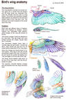 Bird's wing anatomy