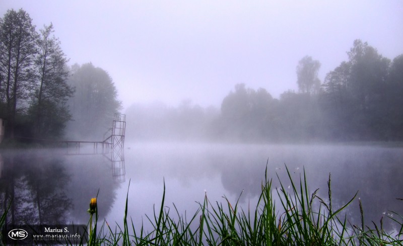 Pond in the mist HDR